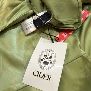 Cider Mint Green Satin Dress